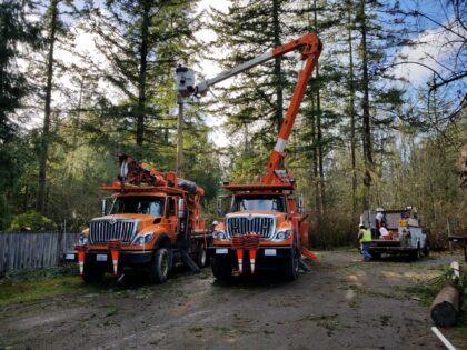 Tacoma Power bucket trucks parked in front of trees. Workers doing transmission and distribution work.