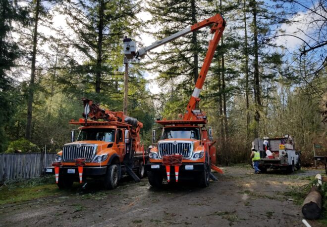 Tacoma Power bucket trucks parked in front of trees. Workers doing transmission and distribution work.
