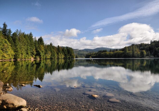 Waterline with trees