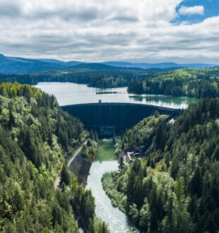 Alder Dam and Reservoir surrounded by trees