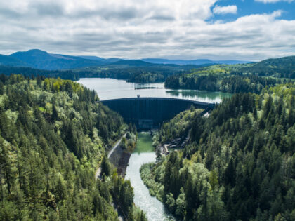 Alder Dam and Reservoir surrounded by trees