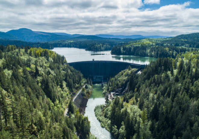 Alder Dam and Reservoir surrounded by trees