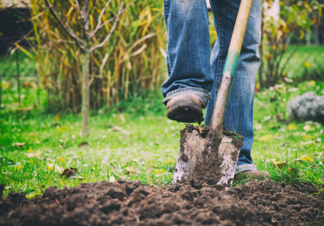 Person stepping on a shovel to press it into the dirt.