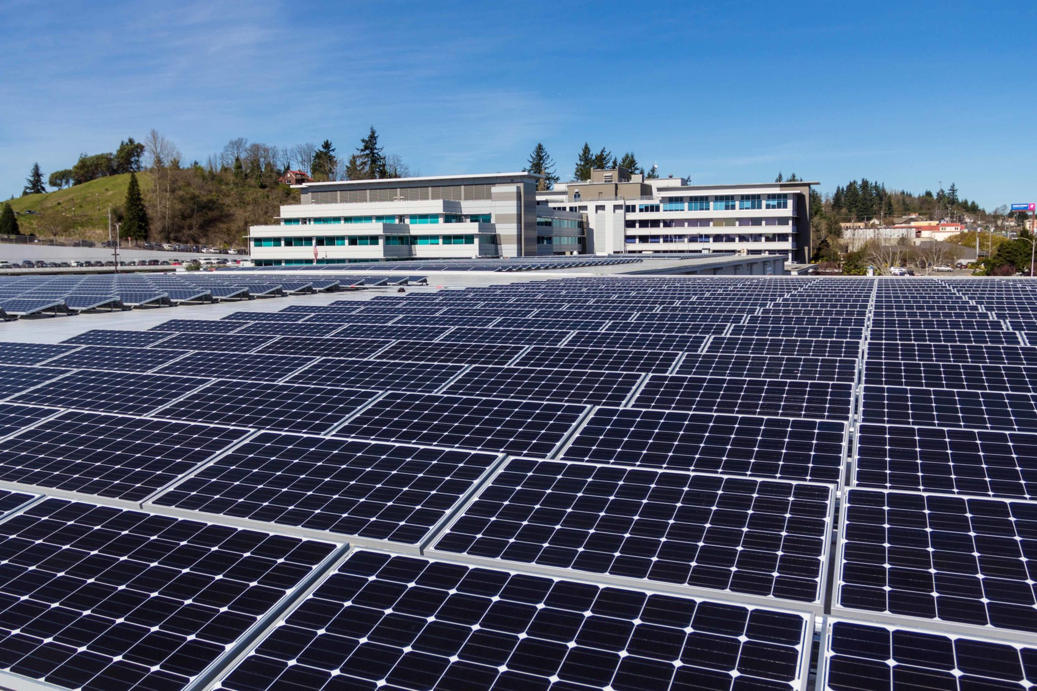 Franklin Pierce School District And Jason Lee Middle School