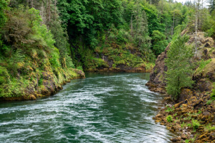 Cowlitz River Below Mayfield Dam