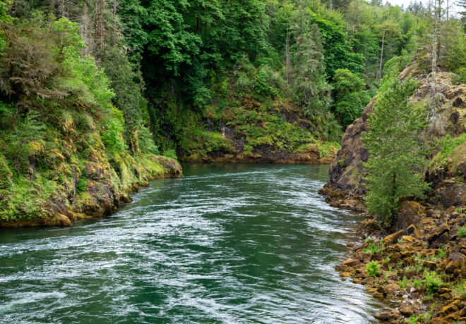 Cowlitz River Below Mayfield Dam