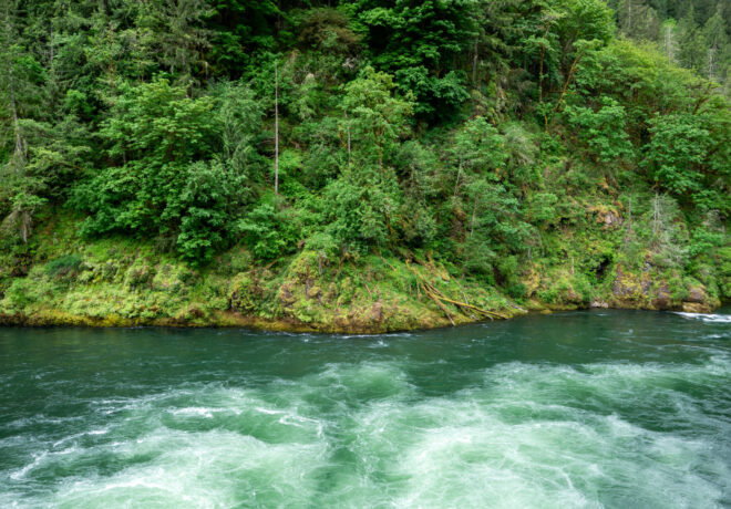 Cowlitz River below Mayfield Dam Powerhouse
