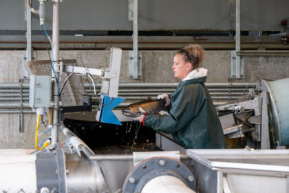 Fisheries staff scan a tagged fish at the Cowlitz Salmon fish facility.