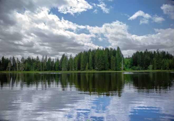 Shoreline at Cushman Dam