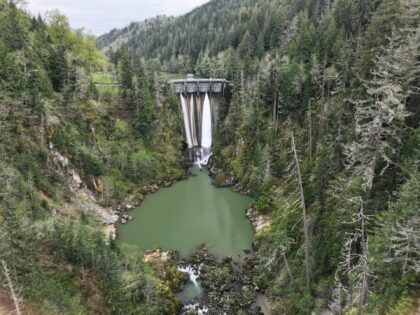 LaGrande Dam, surrounded by trees