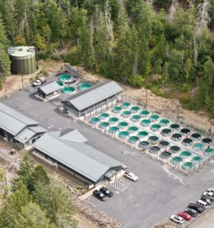North Fork hatchery aerial view