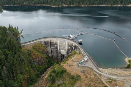 Cushman No. 1 Dam