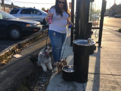 New hydration stations quench people and pups