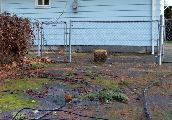Downed power line near a residential home.