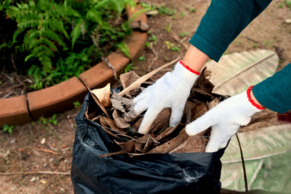 Outdoor Watering and Yard Care 1