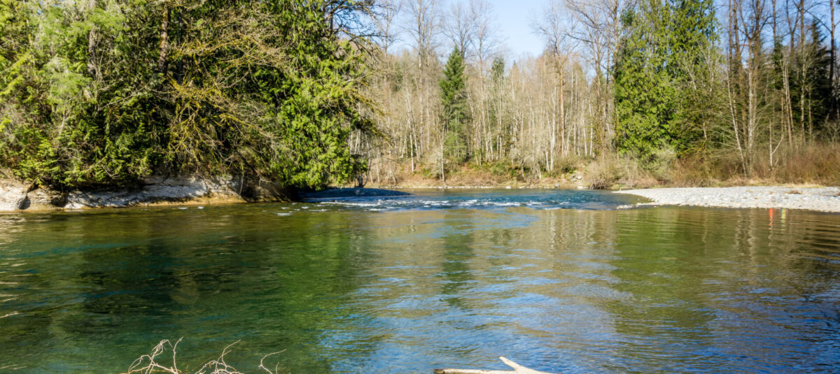 A view of the Green River near Auburn, Washington.