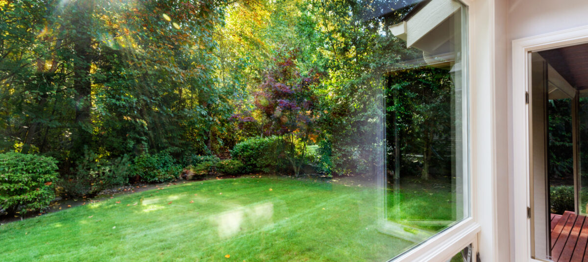 View through the windows of autumn sunshine on the back garden