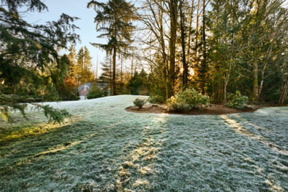 Frost-covered lawn and landscaped garden with a partially hidden brick house, surrounded by tall trees in golden morning sunlight.
