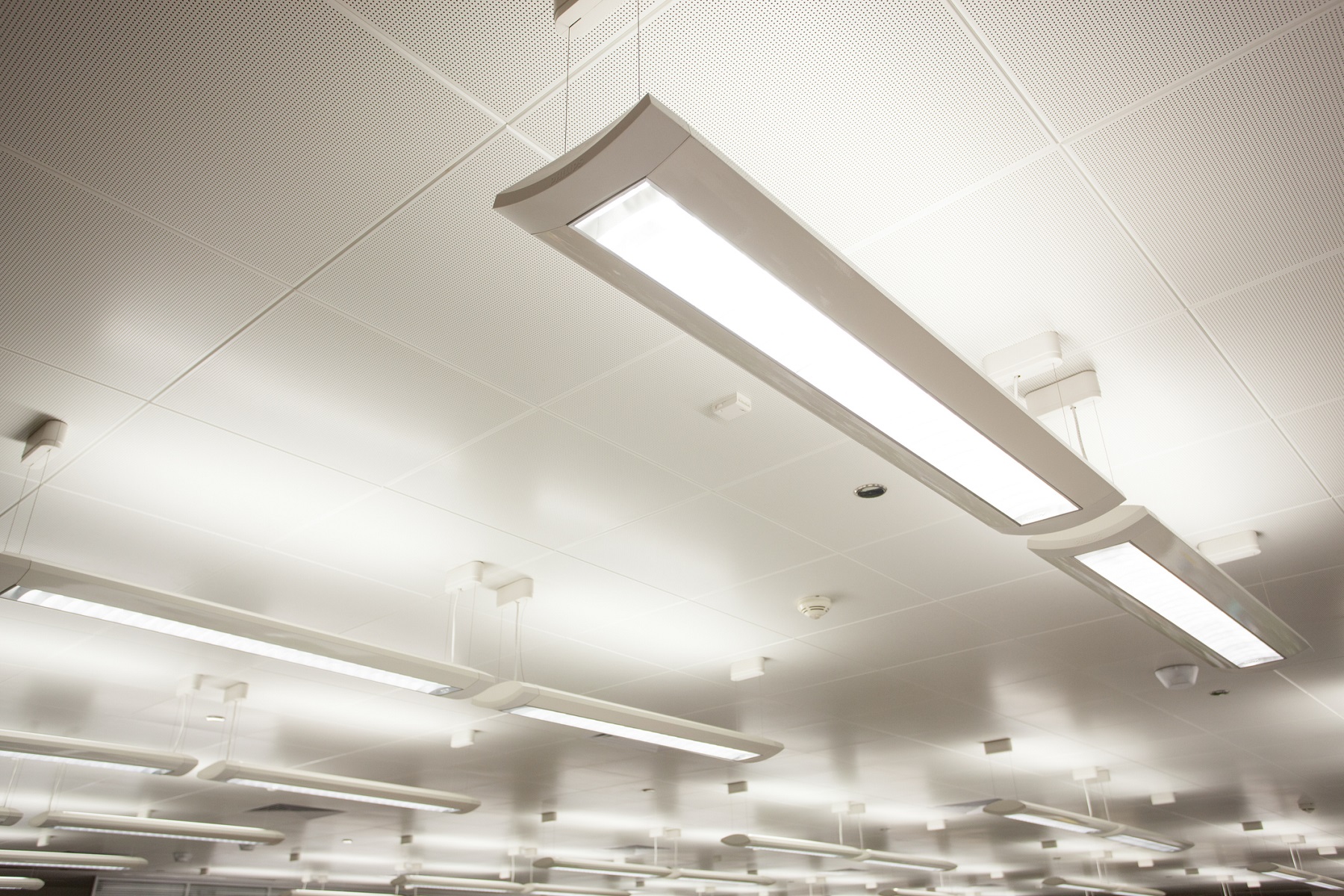 Image of indoor lighting hanging from a business office ceiling