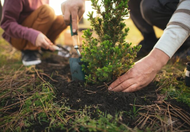 Family planting trees outdoors in springtime