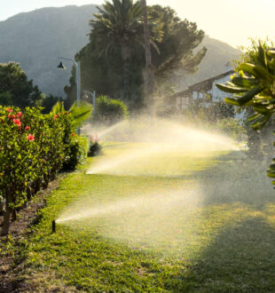 an image of Sunlight and backlight on a lawn using a smart irrigation system. water is spraying