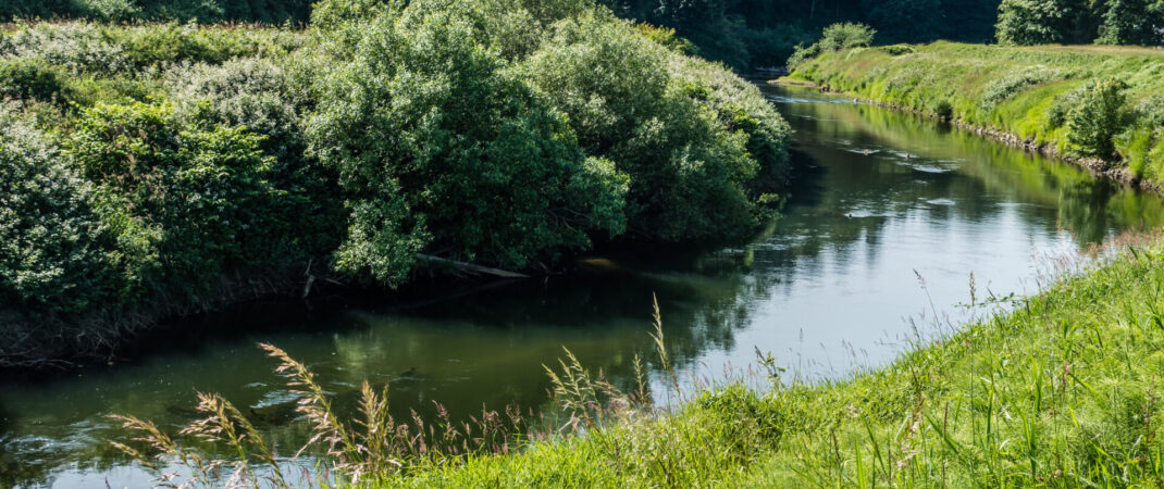 Lush foliage surrounds the Green River as it flows through Kent, Washington.