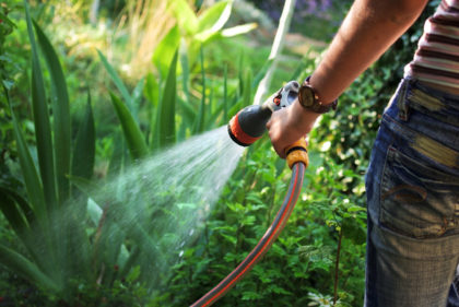 Outdoor Watering and Yard Care