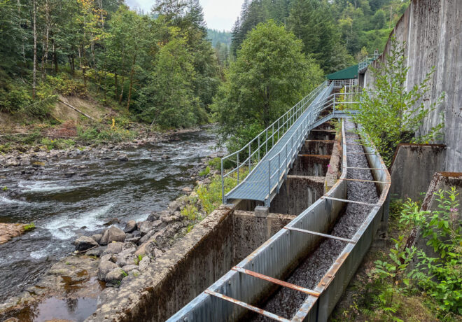 A rocky, fast-flowing river beside a metal fish ladder and railed walkway in a dense green forest.