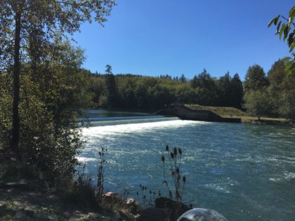 Cowlitz Fisheries Committee 4