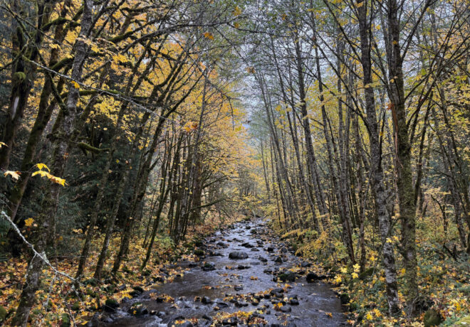 Green river watershed in the fall featuring seasonal changes