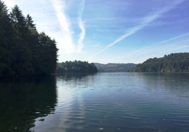 Mayfield Lake_2