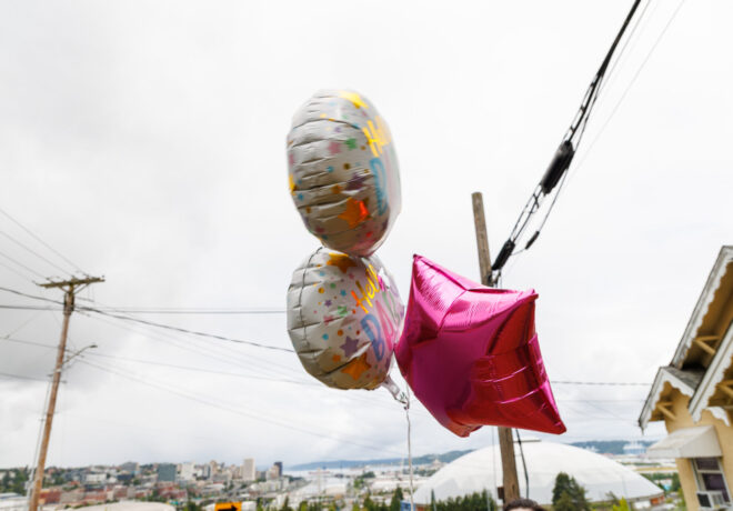 Mylar Balloons Near Power Lines