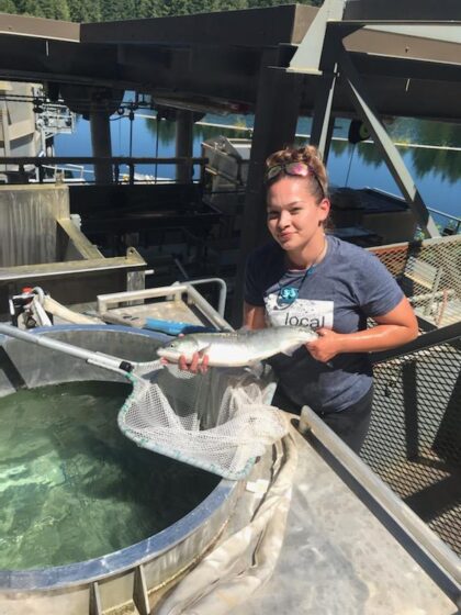 Many happy returns: Sockeye come home to Cushman for the first time in 90 years