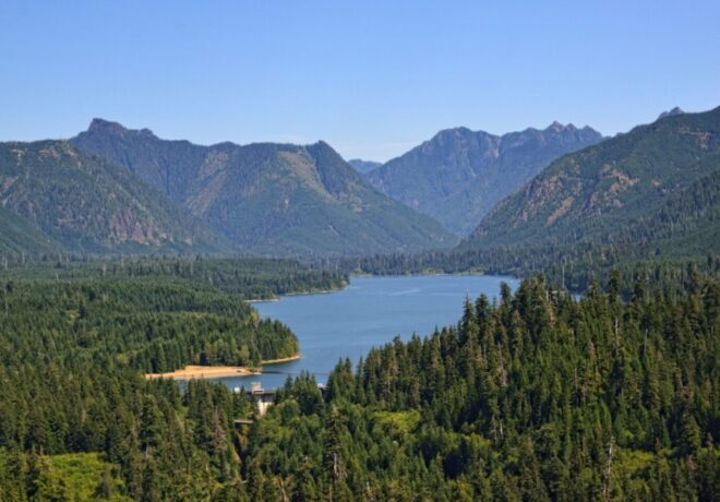 Wynoochee Lake Surrounded by trees