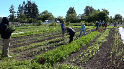 A Tacoma Power renewable energy grant is powering a new kind of learning