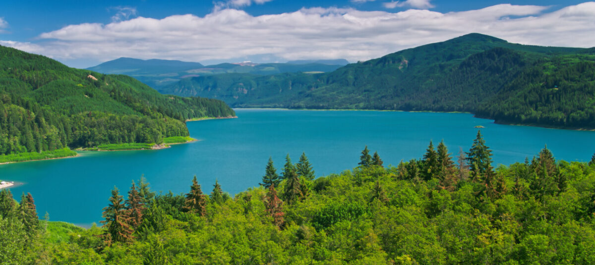 Drone shot of Riffe Lake, a reservoir on the Cowlitz River in Lewis County, Washington, on a sunny day in summer.