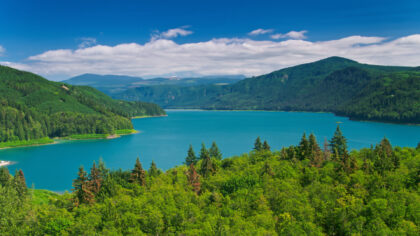 Drone shot of Riffe Lake, a reservoir on the Cowlitz River in Lewis County, Washington, on a sunny day in summer.