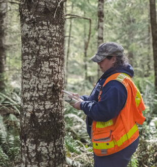 Cultural Resources staff doing survey work on Nisqually upland forage fields.