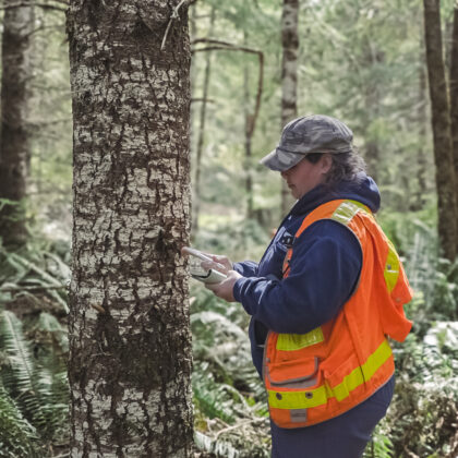 Cultural Resources staff doing survey work on Nisqually upland forage fields. 