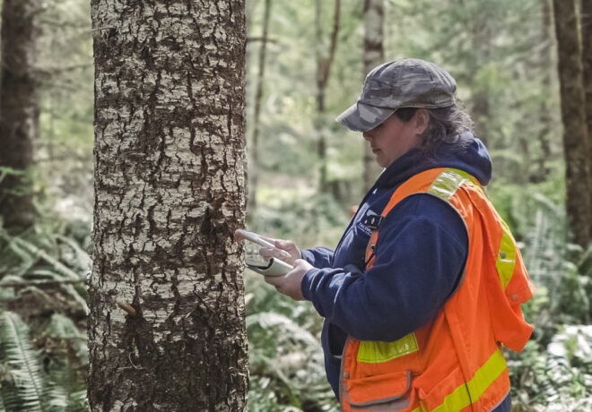 Cultural Resources staff doing survey work on Nisqually upland forage fields.