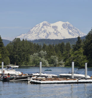 Alder Lake with boats, a dock, and mountain in the background