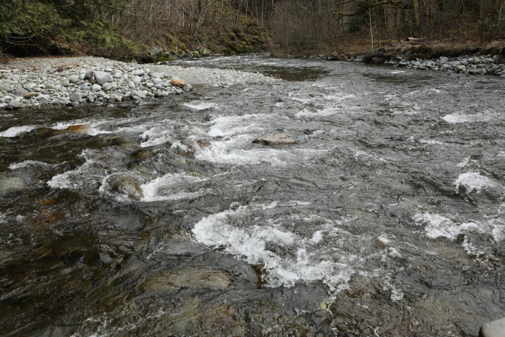 water-quality-tacoma-public-utilities