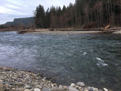 Cowlitz Fisheries Technical Committee