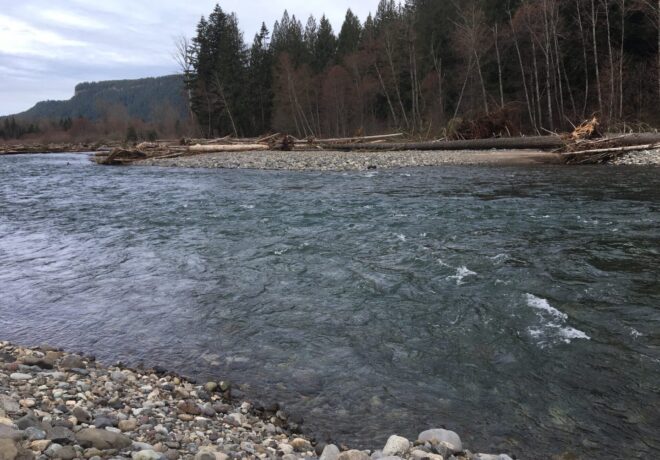 Image of the Cowlitz River