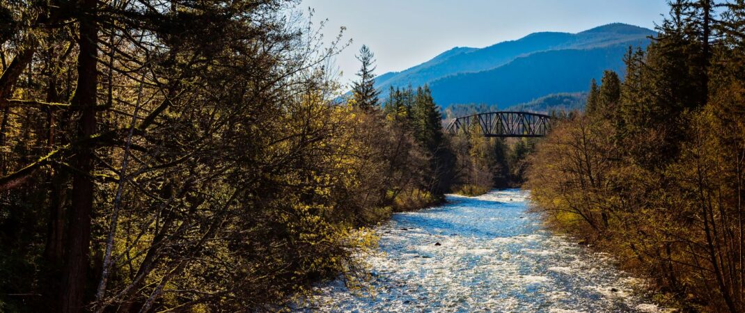 Mountain river flowing through a sunlit forest with a black truss bridge and blue forested mountains in the background.