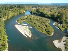 Cowlitz Fisheries Committee