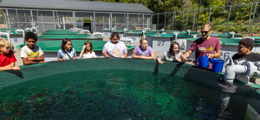 About eight children, between ages 8-11, watching a TPU employee toss fish food into a fish hatchery pool