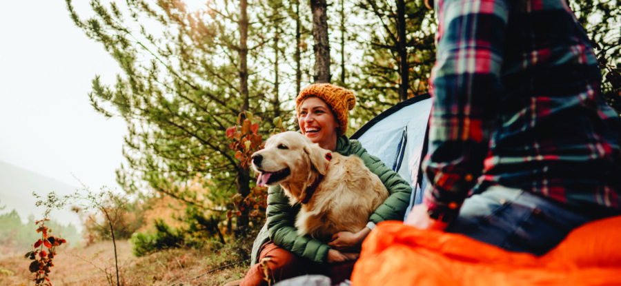 Photo of a young couple and their dog camping in the woods on a beautiful autumn day; spending time outdoors and appreciating nature.