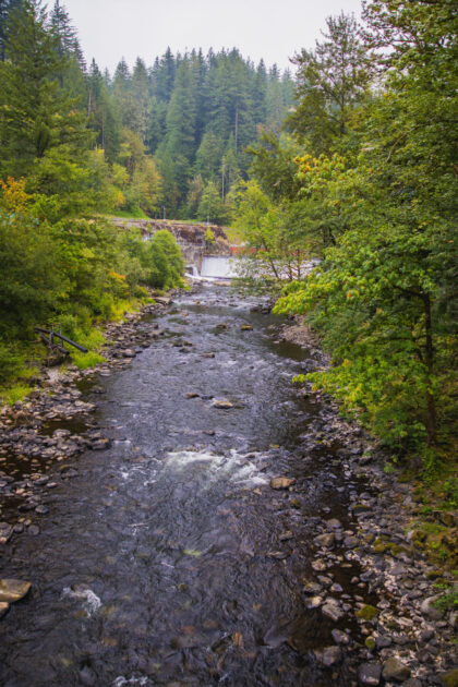A rocky stream flows through a dense forest below a small dam and waterfall in the Green River Watershed.