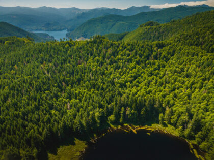 Aerial view of a dense green forest, dark lakes, and layered mountains beneath low white clouds.